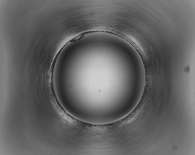 X0000094800900200711161455