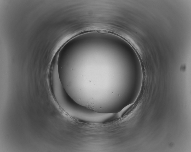 X0000094800901200711161455