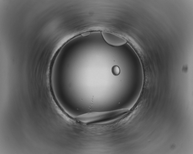X0000094800902200711161455