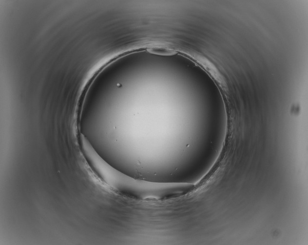 X0000094800904200711161455