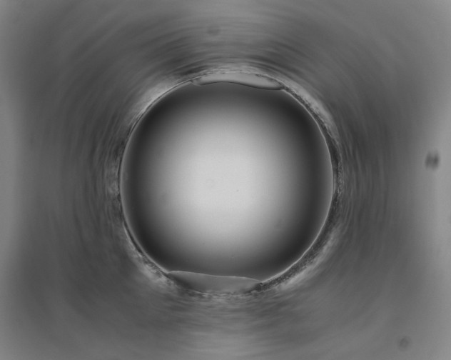 X0000094800905200711161455