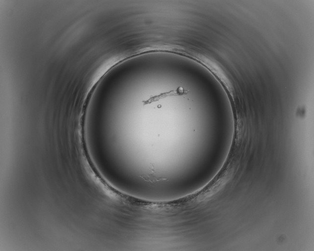 X0000094800906200711161455
