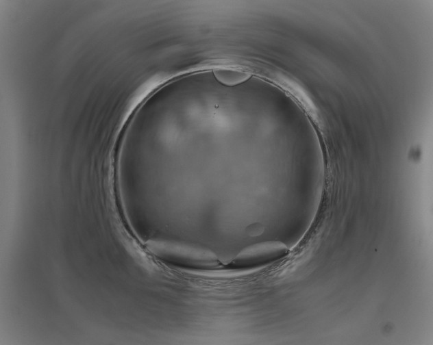 X0000094800907200711161455
