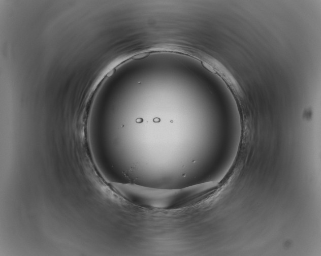 X0000094800908200711161455