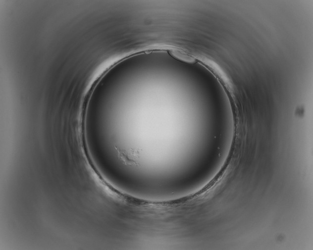 X0000094800910200711161455