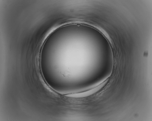 X0000094800911200711161455