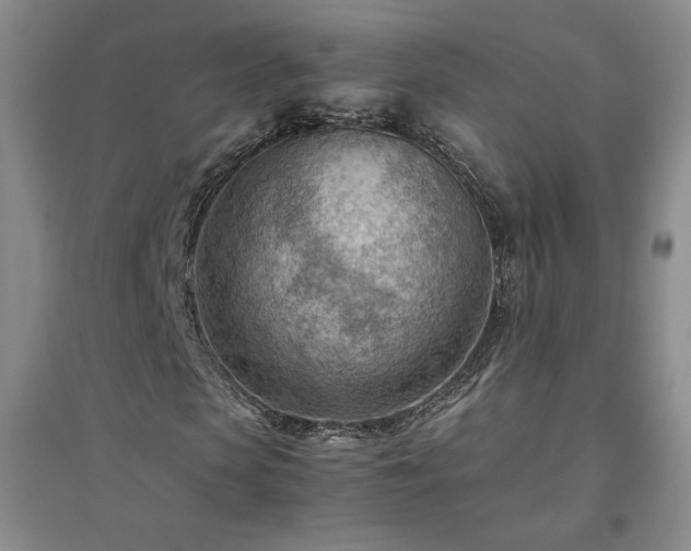 X0000094800913200711161454