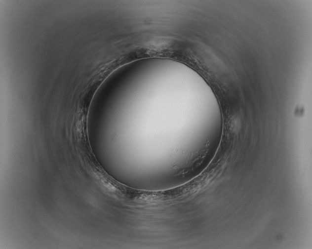 X0000094800914200711161454