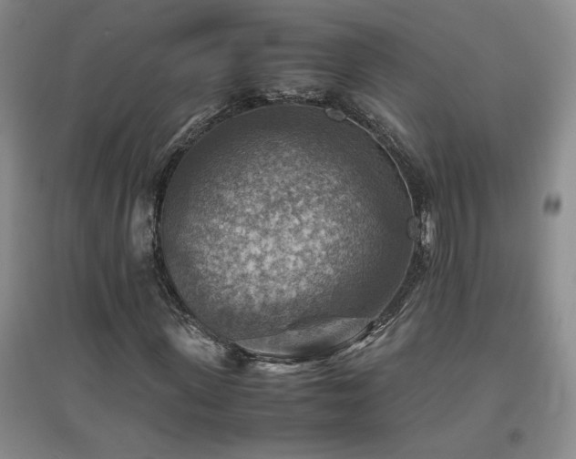 X0000094800915200711161454