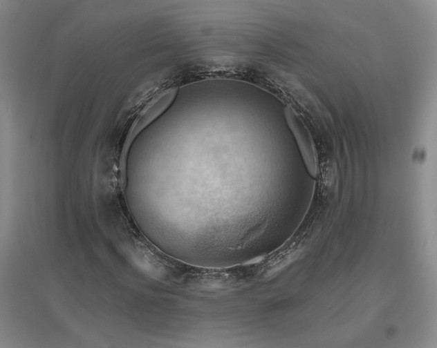 X0000094800916200711161454