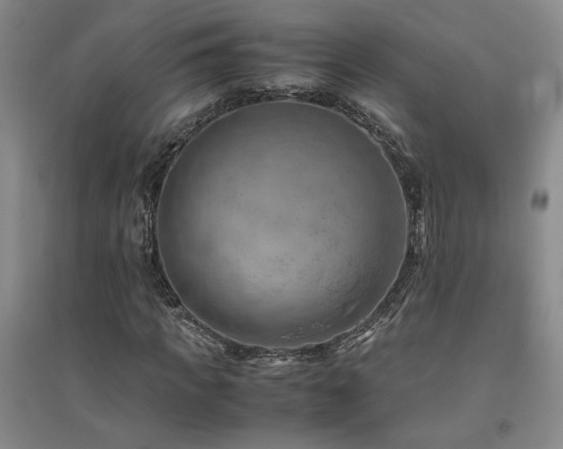X0000094800917200711161454