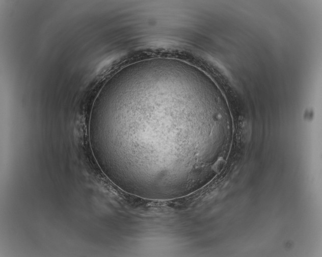 X0000094800918200711161454