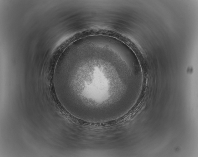 X0000094800919200711161454