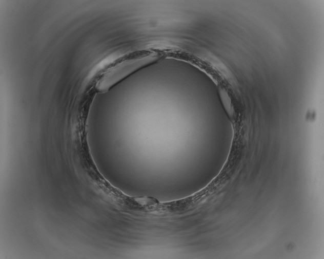X0000094800920200711161454