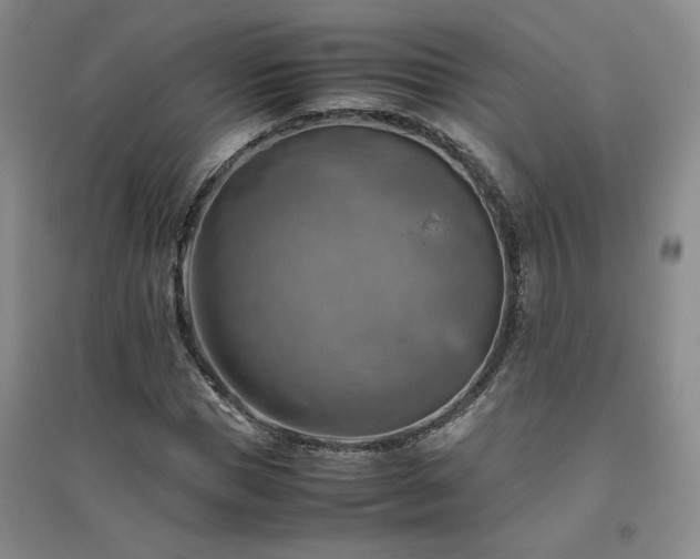 X0000094800921200711161454