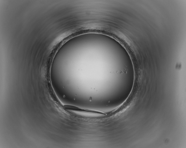 X0000094800922200711161454