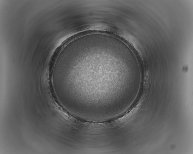 X0000094800923200711161454