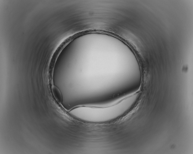 X0000094800924200711161454