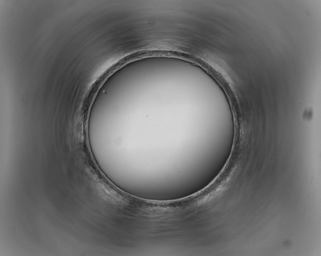 X0000094800925200711161454