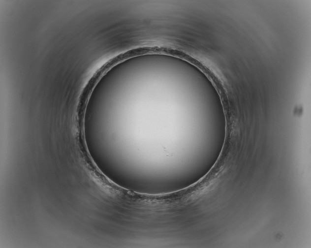 X0000094800927200711161454