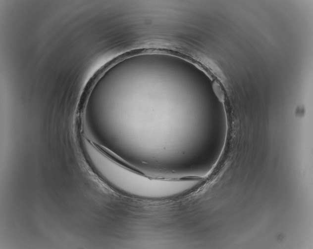 X0000094800928200711161454