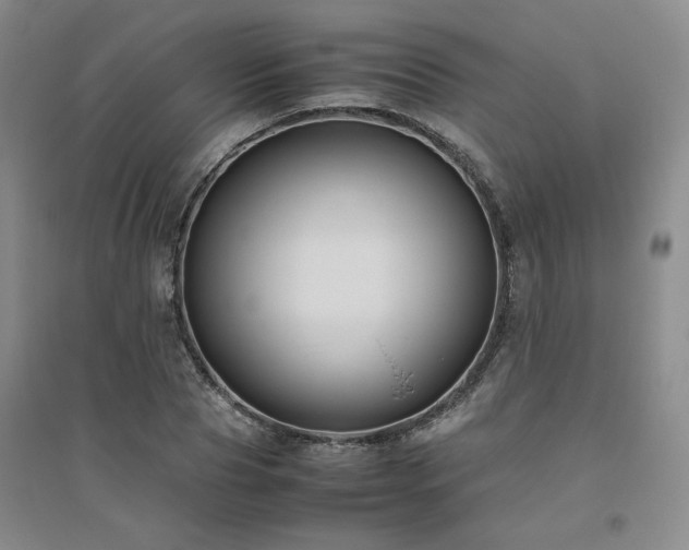 X0000094800929200711161454