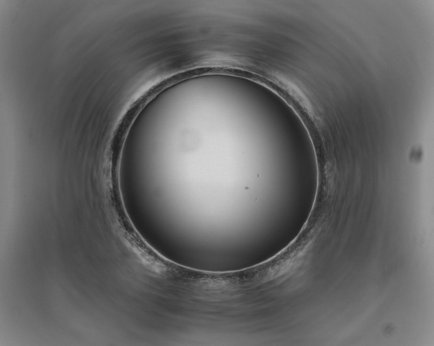 X0000094800931200711161454