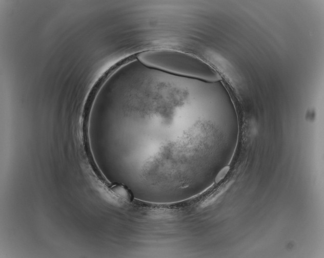 X0000094800932200711161454