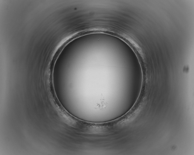 X0000094800933200711161454