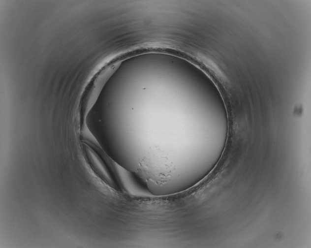 X0000094800934200711161454