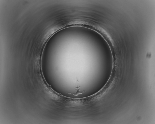 X0000094800937200711161454