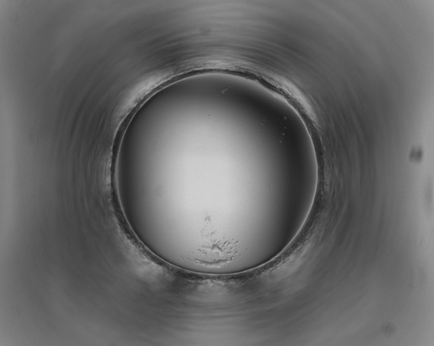 X0000094800938200711161454