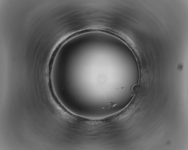 X0000094800939200711161454