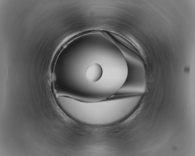 X0000094800940200711161455
