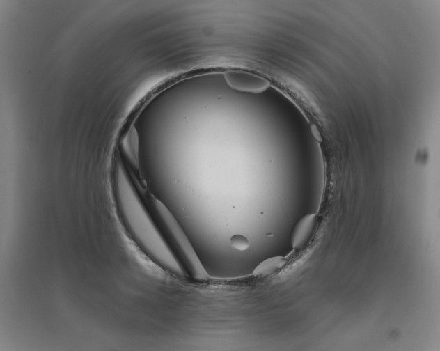 X0000094800942200711161455