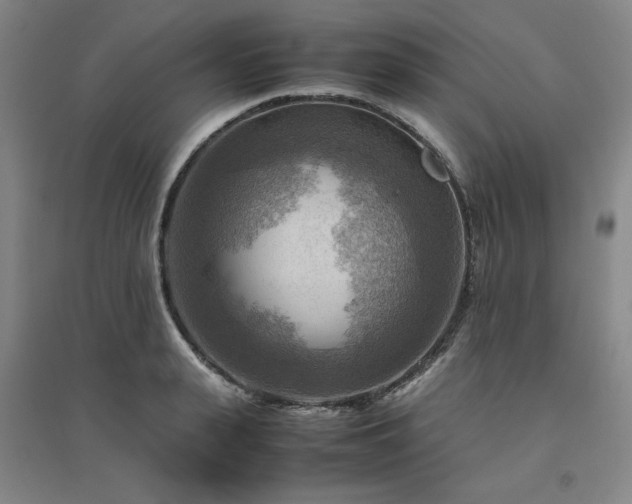 X0000094800943200711161455