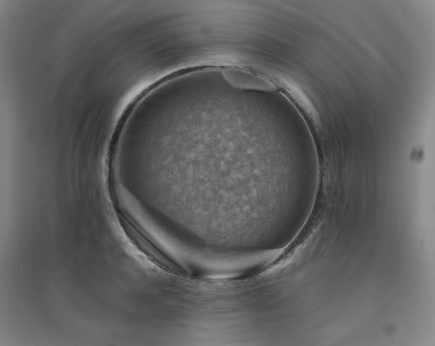 X0000094800944200711161455