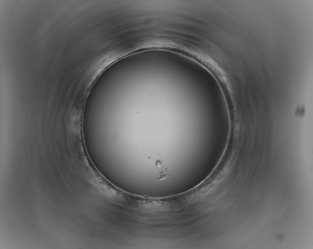 X0000094800945200711161455
