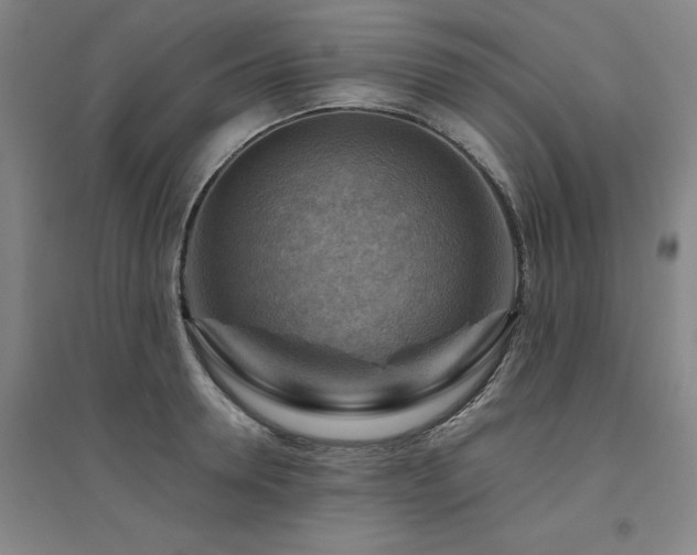 X0000094800946200711161455