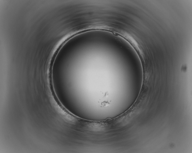 X0000094800947200711161455