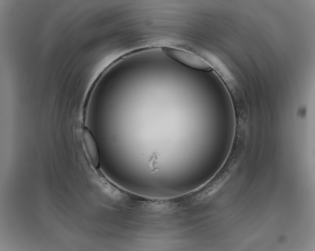 X0000094800948200711161455