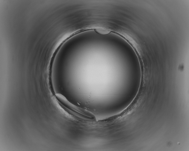 X0000094800949200711161455