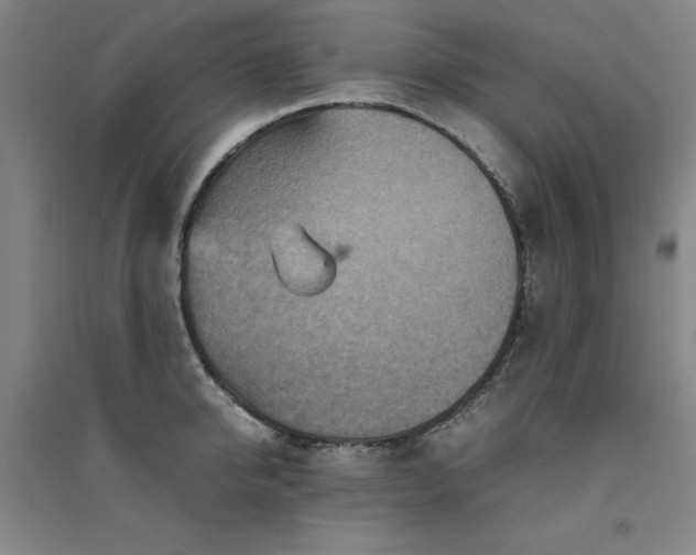 X0000094800950200711161455