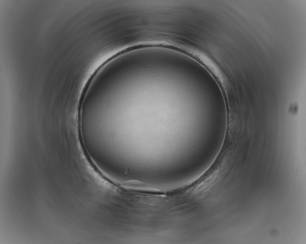X0000094800951200711161455