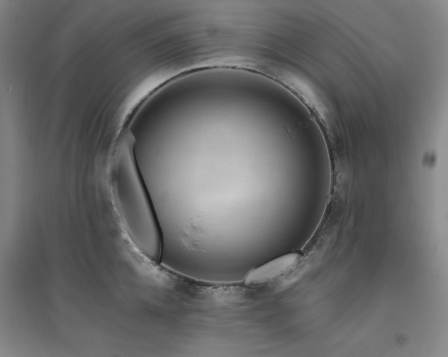 X0000094800952200711161455
