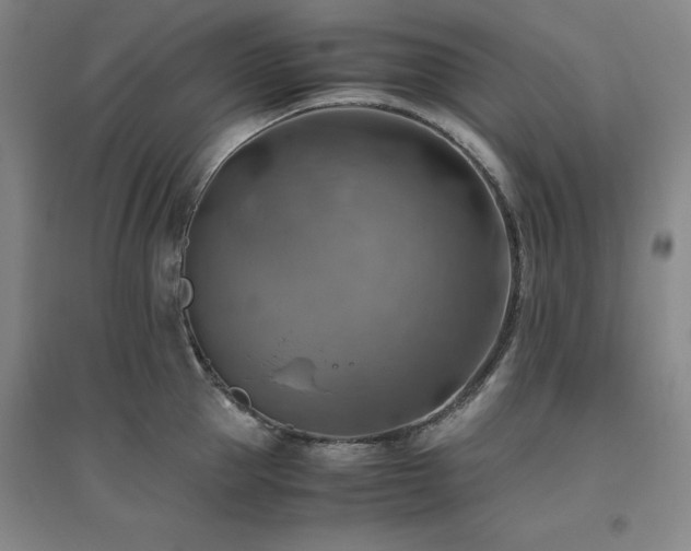 X0000094800953200711161455