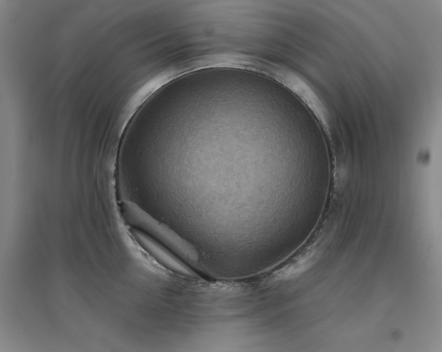 X0000094800954200711161455