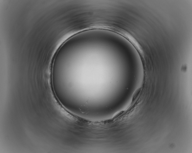 X0000094800955200711161455