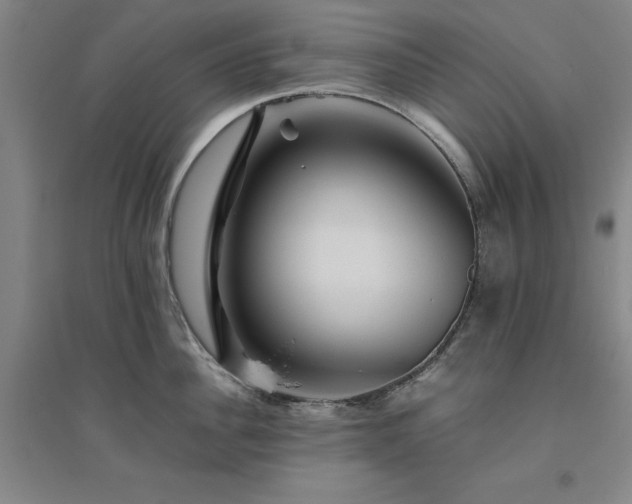 X0000094800956200711161455