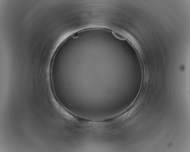 X0000094800958200711161455